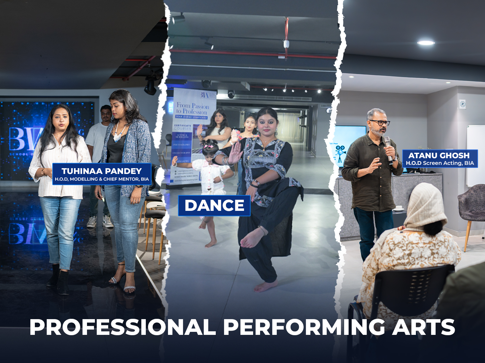 PROFESSIONAL ART 800 1